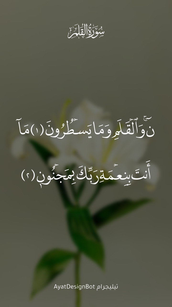 آية من سورة القلم